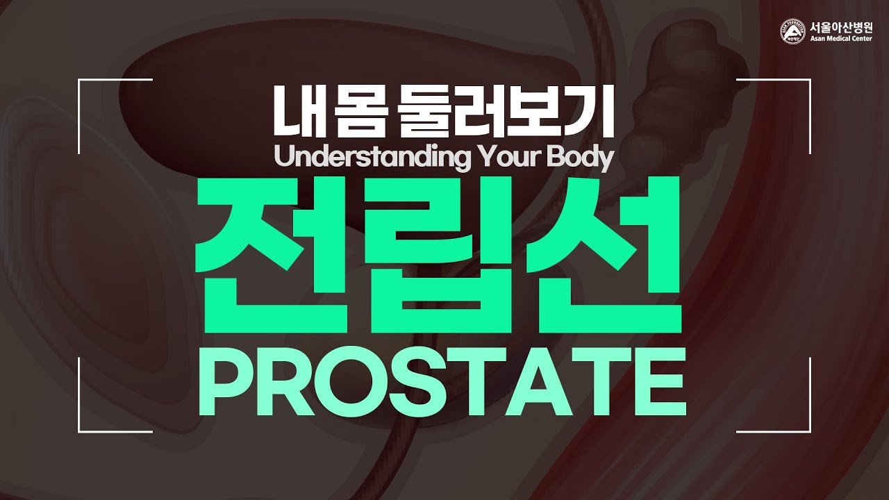 전립선 [내 몸 둘러보기]