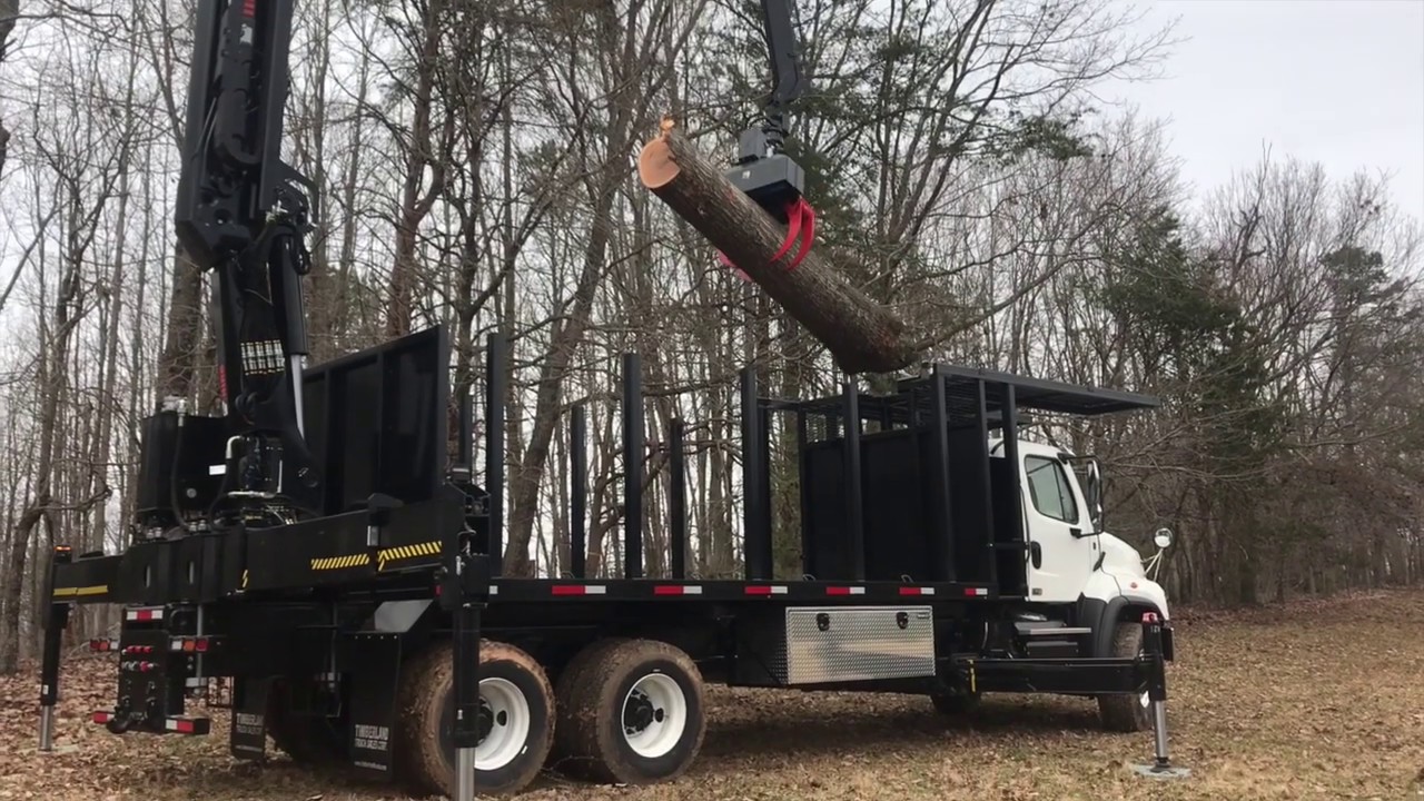 Treezilla Highlights