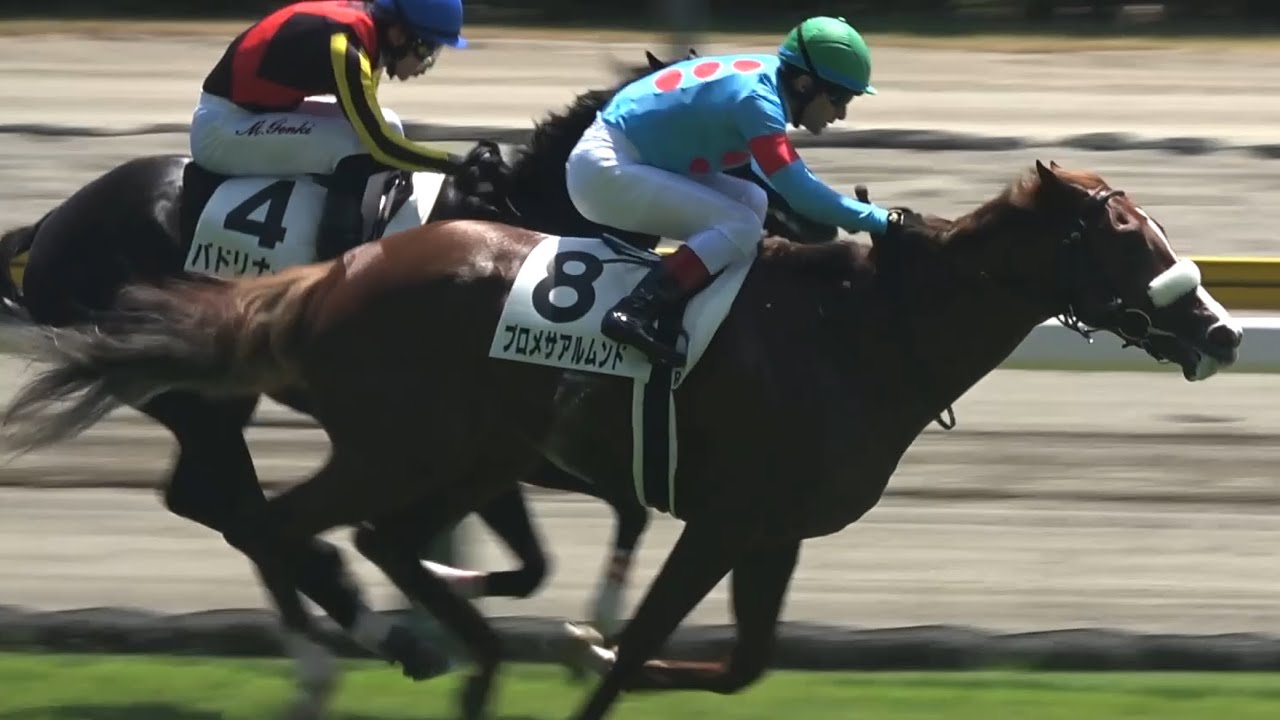 【現地】2025 メイクデビュー 新馬戦 プロメサアルムンド C.ルメール G1並の歓声と拍手喝采【母はアーモンドアイ 新潟競馬場】