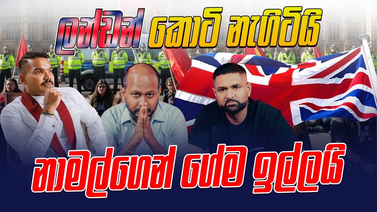 ලන්ඩන් කොටි නැගිටියි නාමල්ගෙන් ගේම ඉල්ලයි !