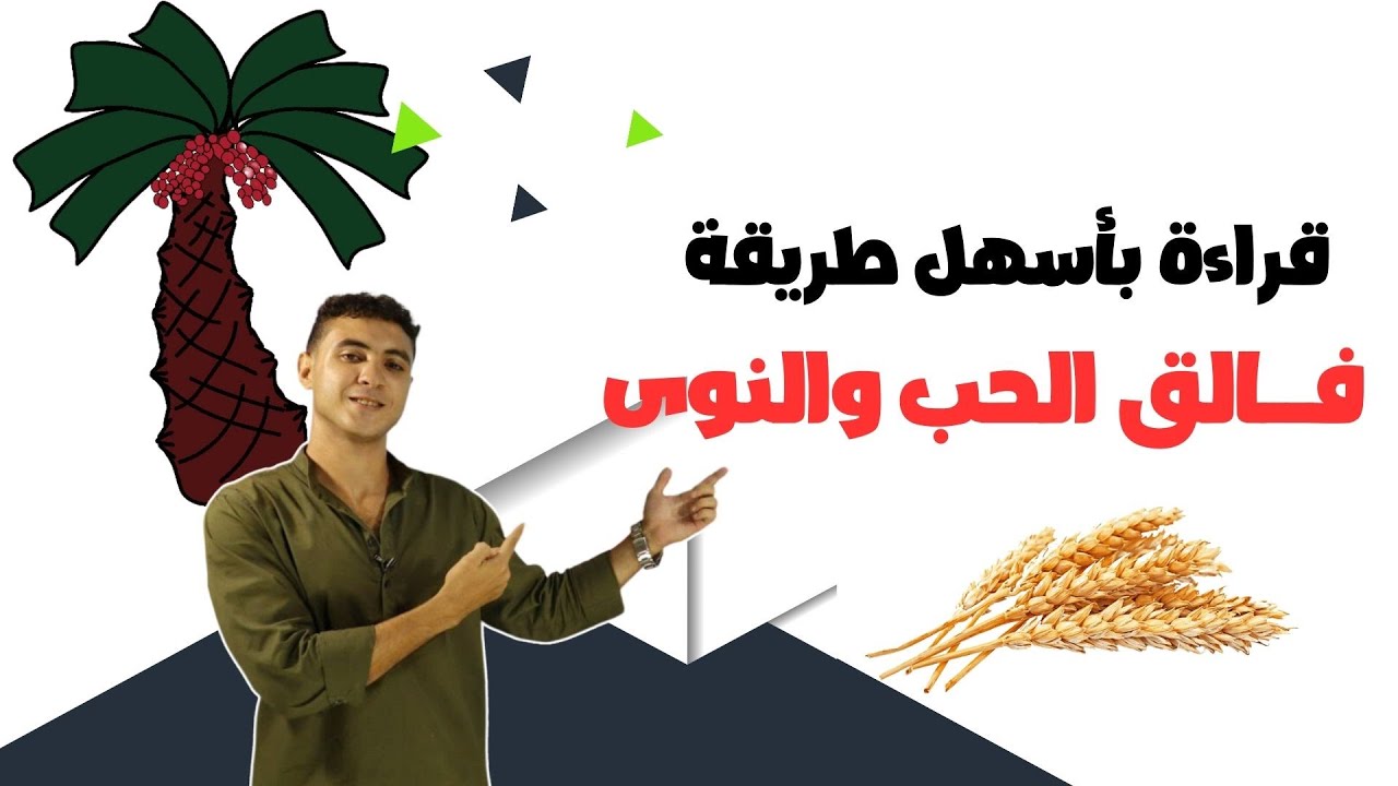 درس فالق الحب والنوى للصف الثالث الاعدادي بأسهل طريقة
