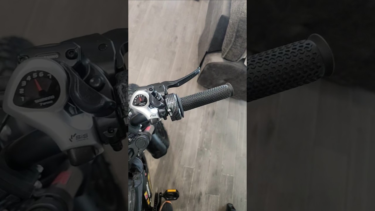 Ridstar Q20 Ebike with cheap 