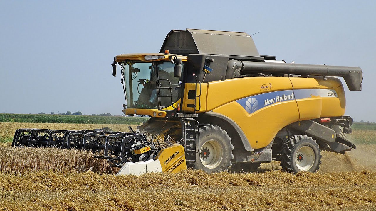 New Holland CX 8050 & Fendt 828 - Trebbiatura 2015 - Adami G.