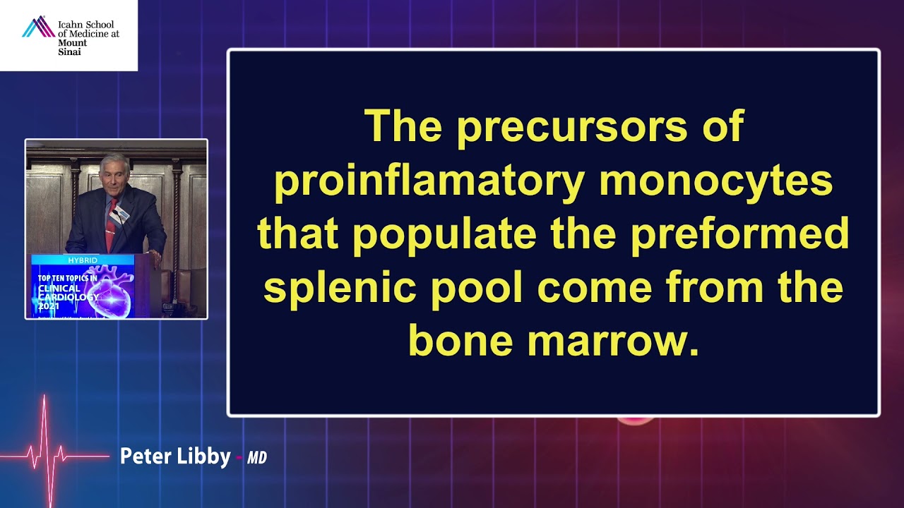 KEYNOTE ADDRESS  Cardiovascular Inflammation  Think Local, Act Global    Peter Libby, MD