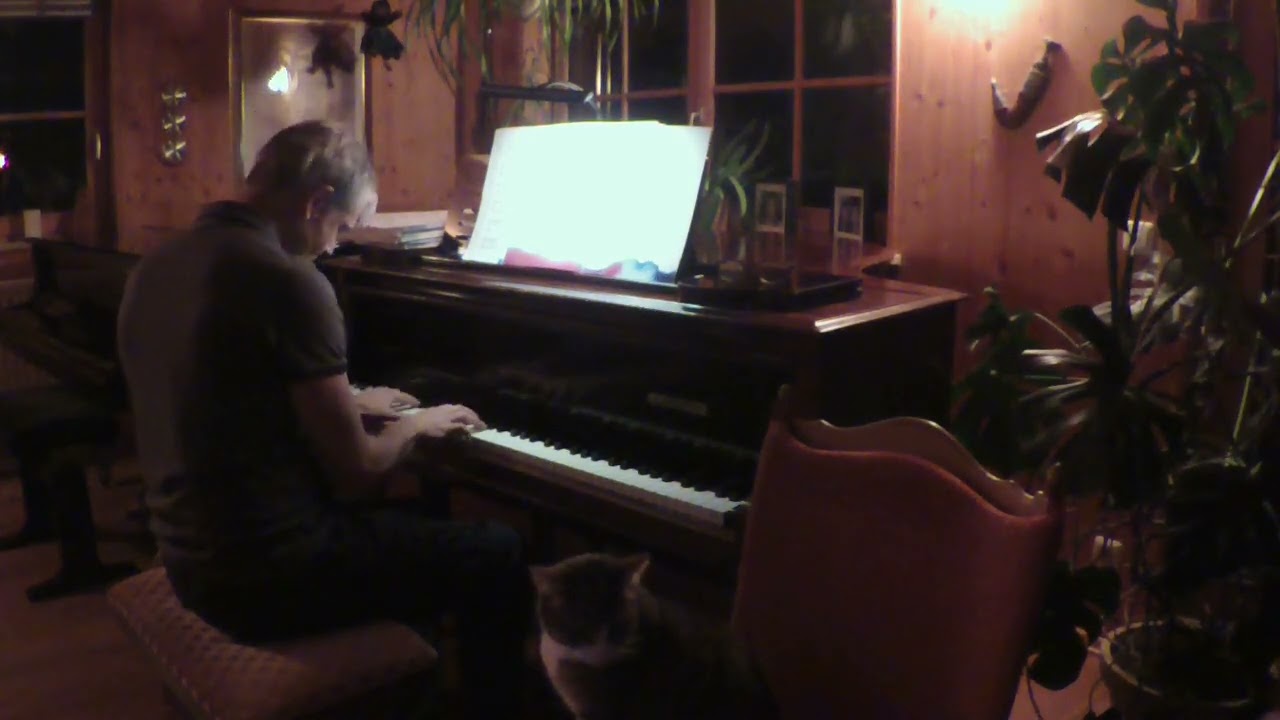Mike Schoenmehl      Concerto for Julia