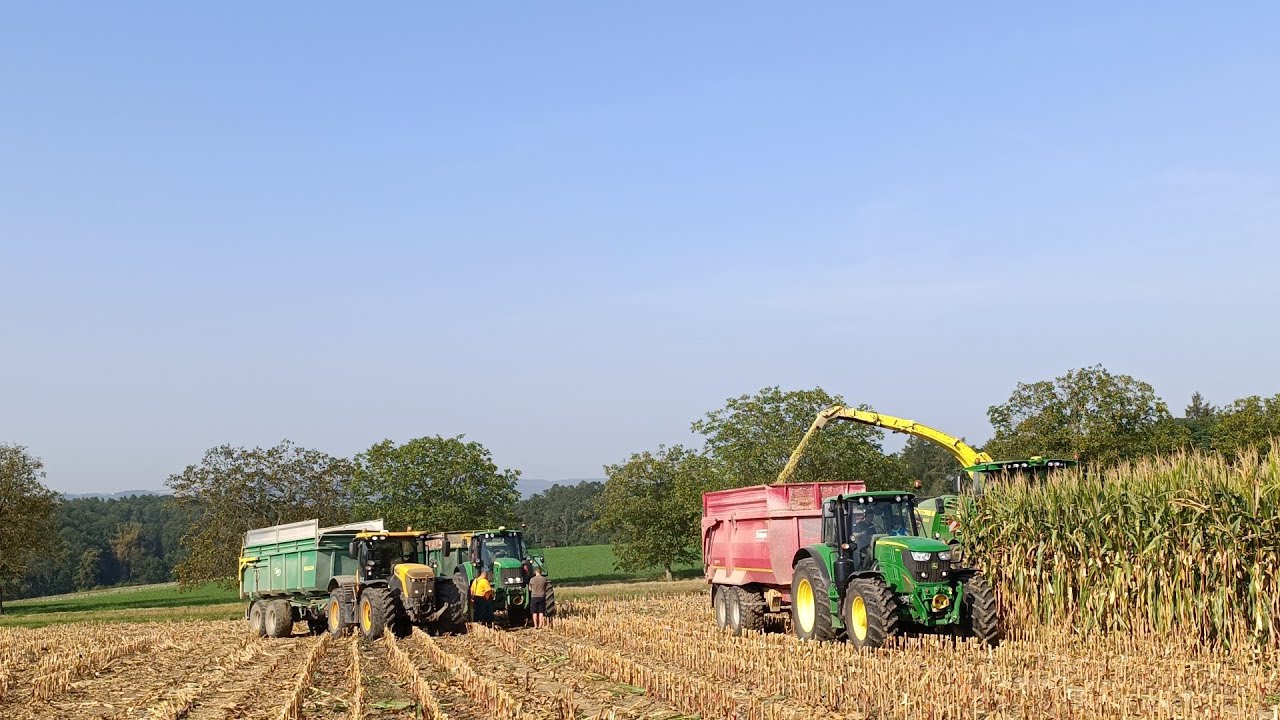 Dvou denní Siláže kukuřice 2024 v ZOD Lešná John Deere 8200i, 7930, 6155m, 7530, JCB Fastrac 4220