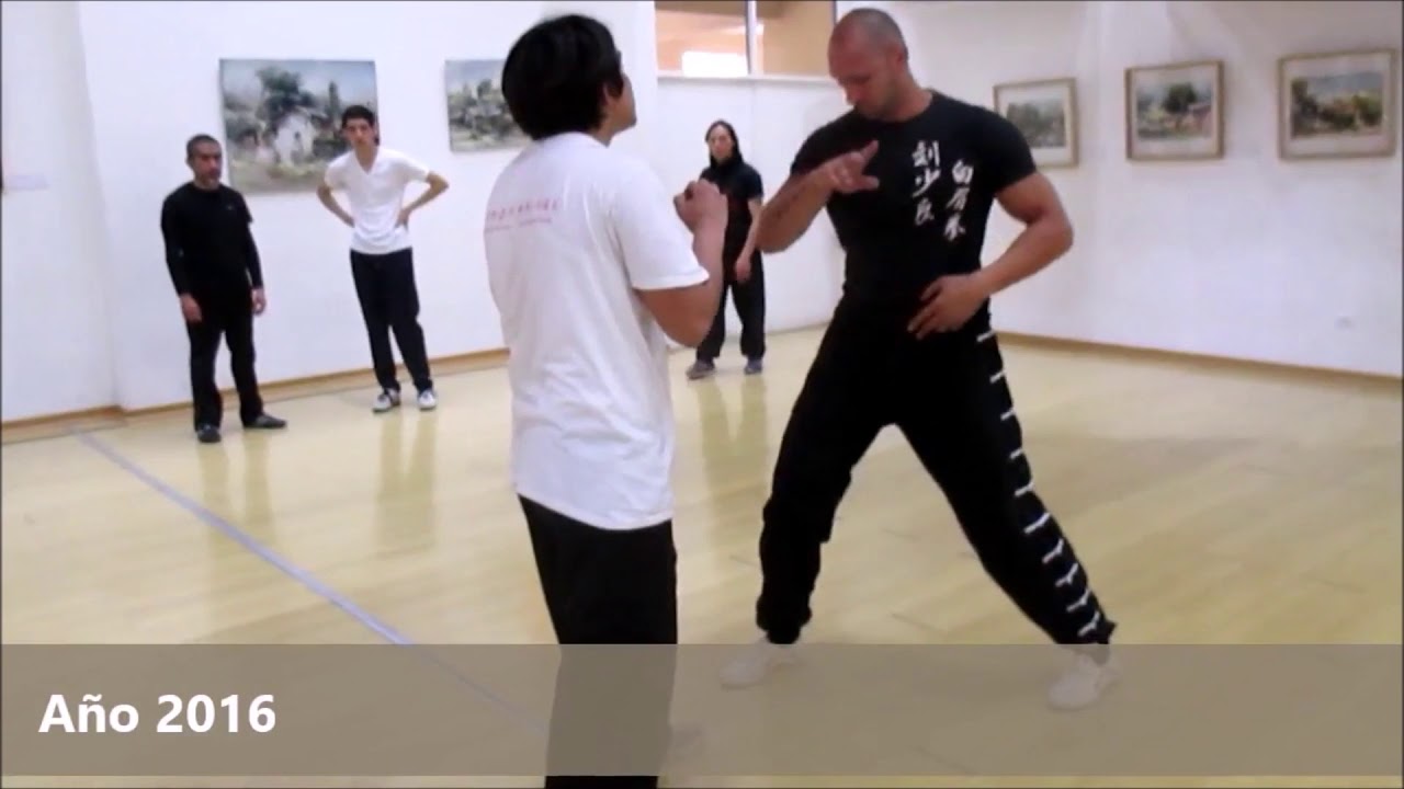15 years of Sifu John teaching Fatsan Pakmei Thundering Techniques