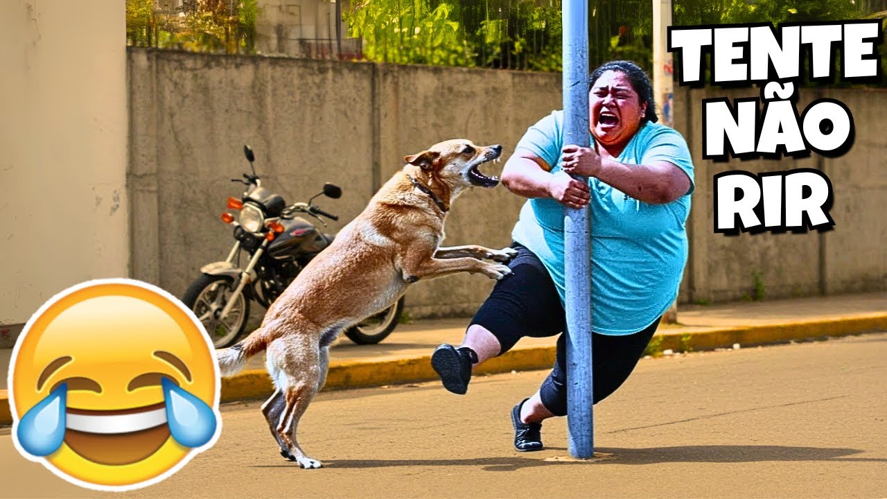 TENTE NÃO RIR: VÍDEOS ENGRAÇADOS 2025 E MEMES - #77