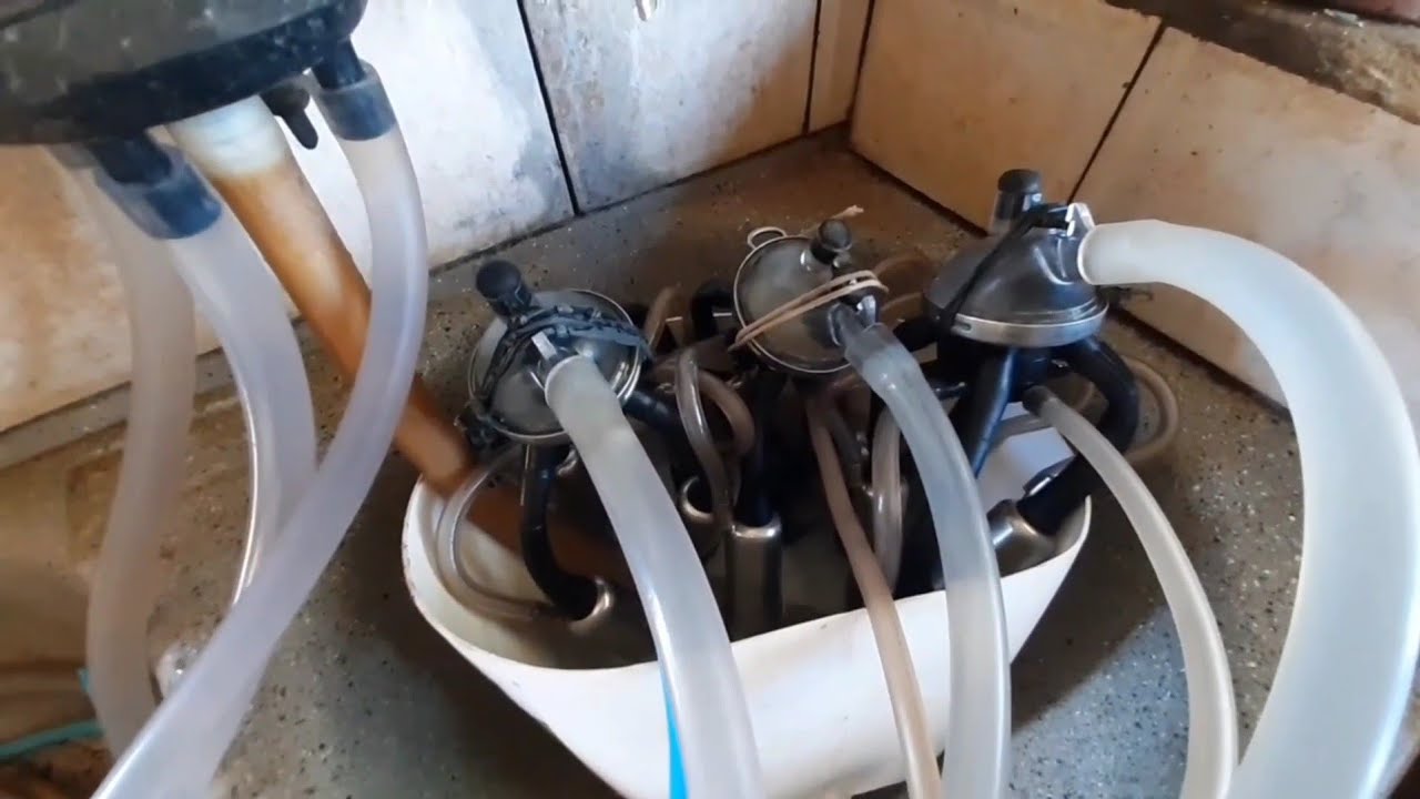 PASSO A PASSO DA LIMPEZA DOS EQUIPAMENTOS DE ORDENHA