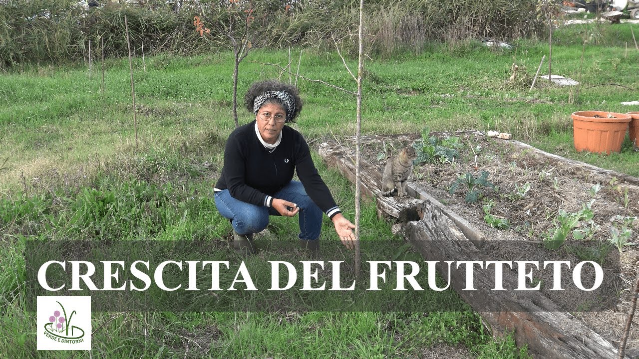 NASCE LA NOSTRA FOOD FOREST