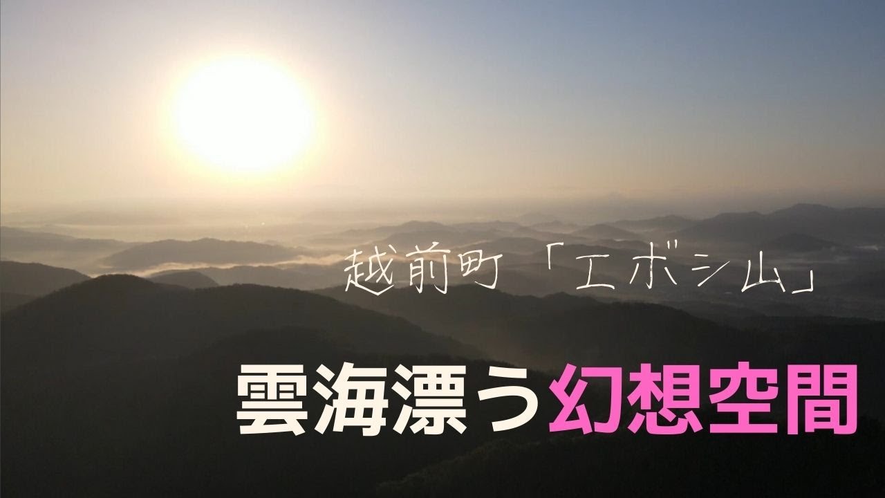 雲海広がる幻想空間　越前町のエボシ山
