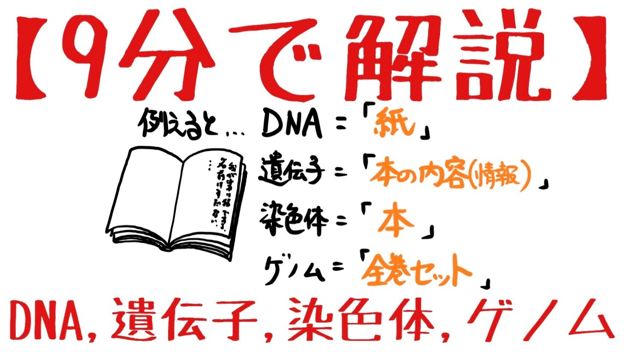 生物基礎 第2章 DNA、遺伝子、染色体、ゲノム