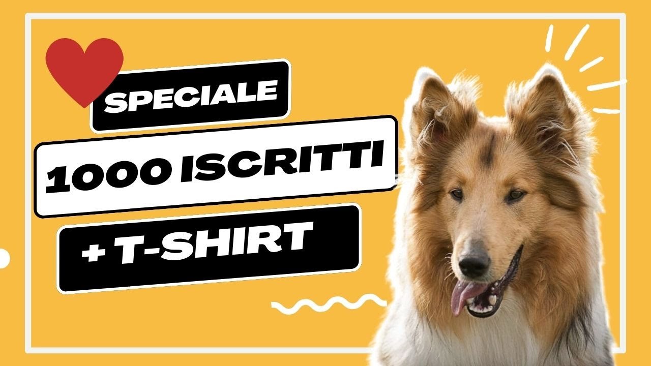 1000 iscritti! - Regalo una t shirt 