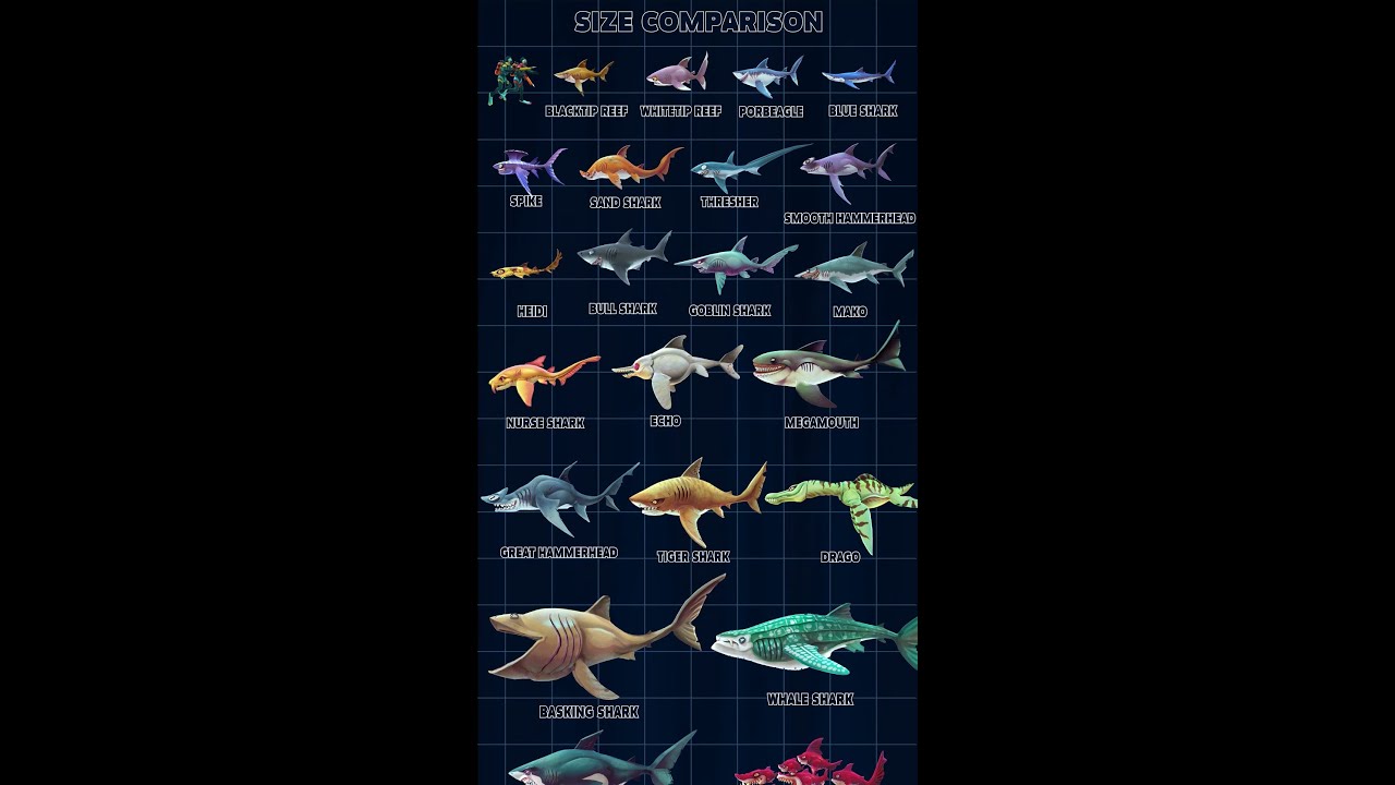 HUNGRY SHARK WORLD | ALL SHARK SIZE COMPARISON Gaia Update