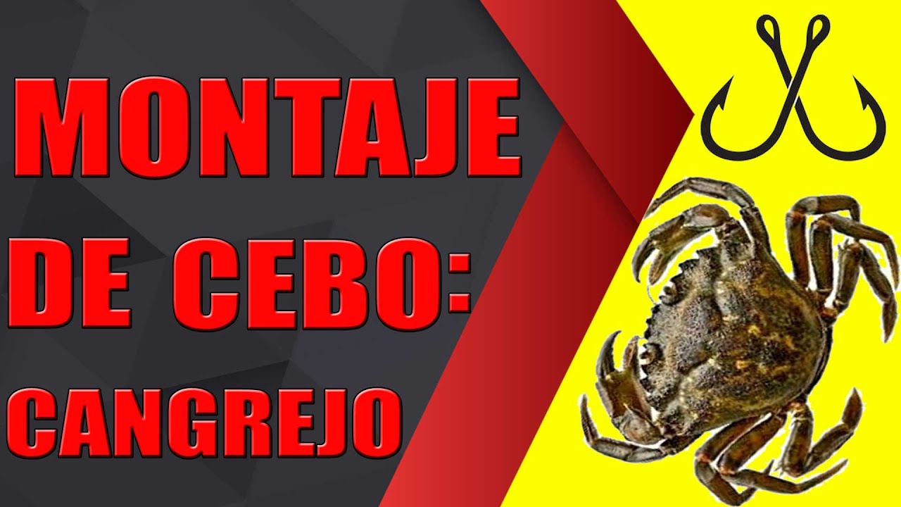 🔆CANGREJO el MEJOR CEBO para la PESCA del SARGO 🎣