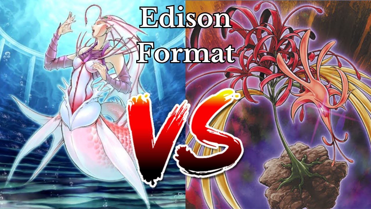 Diva Hero vs Amaryllis Full Match (Edison Format)