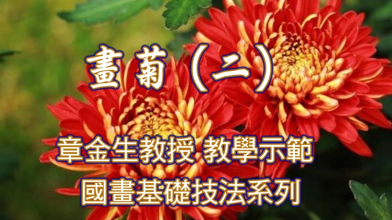 章金生教授 國畫教學示範: 畫菊(二) 複瓣菊花, 花葉的畫法技巧. Chinese Painting Chrysanthemum.