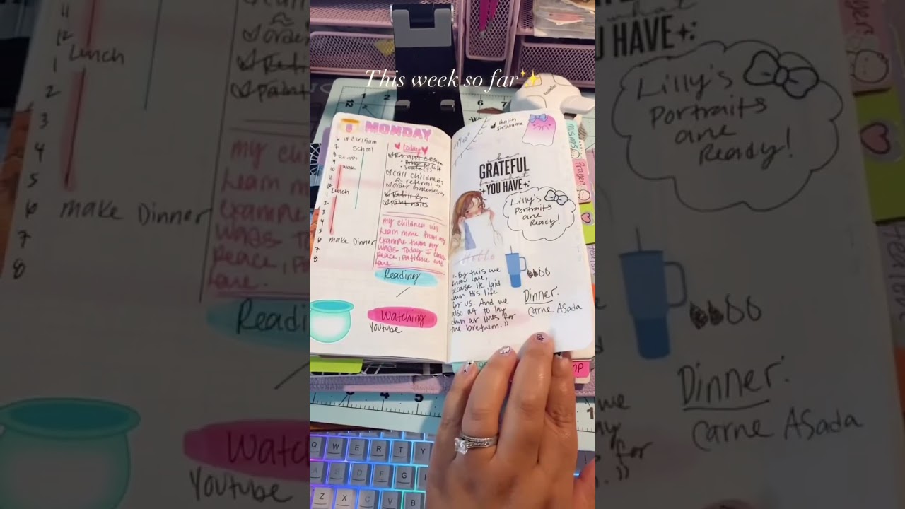 #plannercommunity #journaling #plannergoodies #planneraddict #planner #plannerlayout
