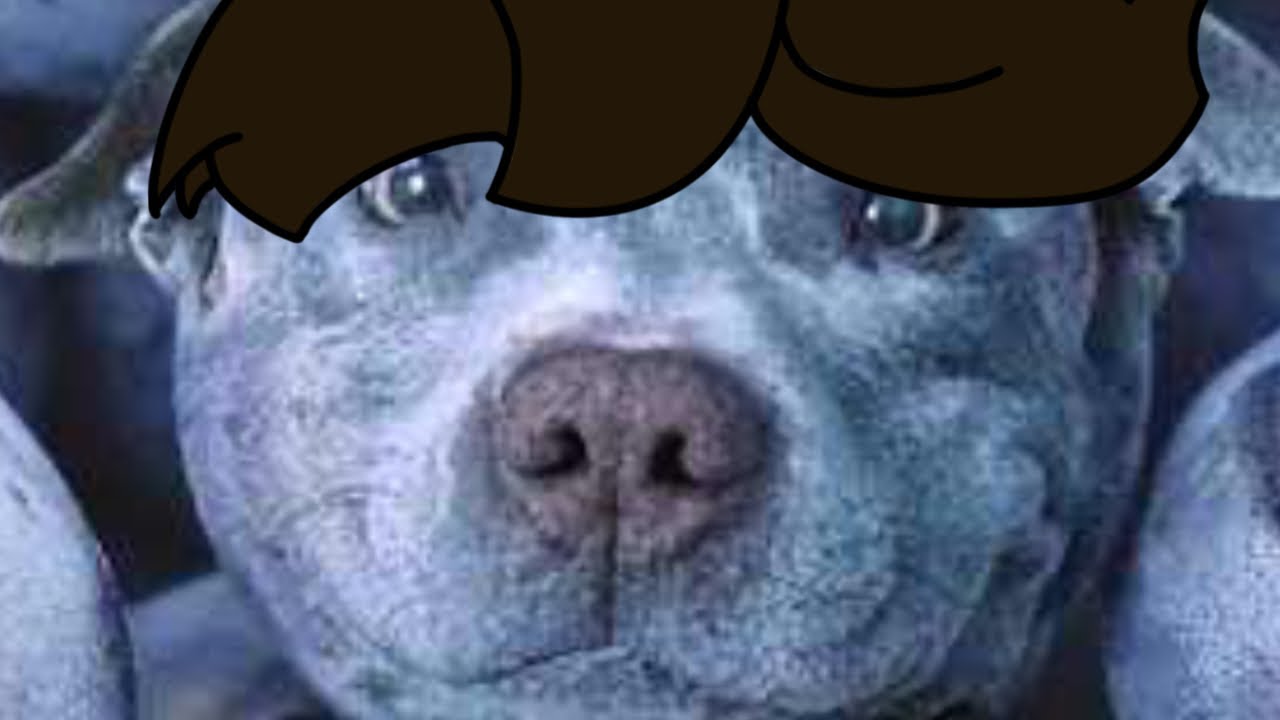 BLUEBERRY