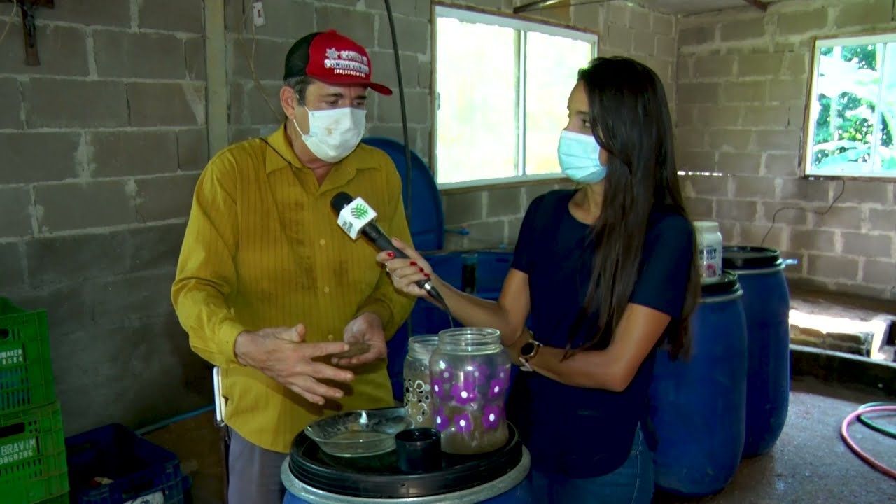 NOSSO AGRO - No ES, criadores de peixe apoiados pela ATeG do Senar, melhoram a renda e produtividade