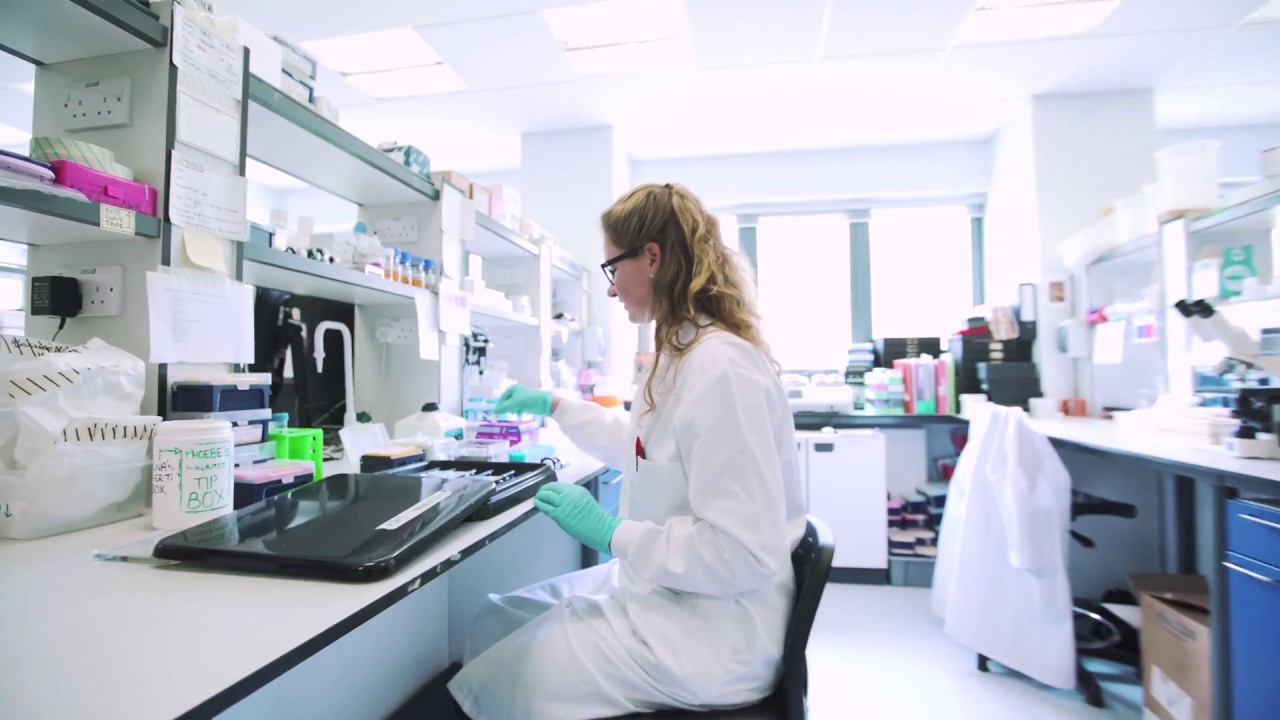 Top tips for studying towards a PhD | The University of Edinburgh