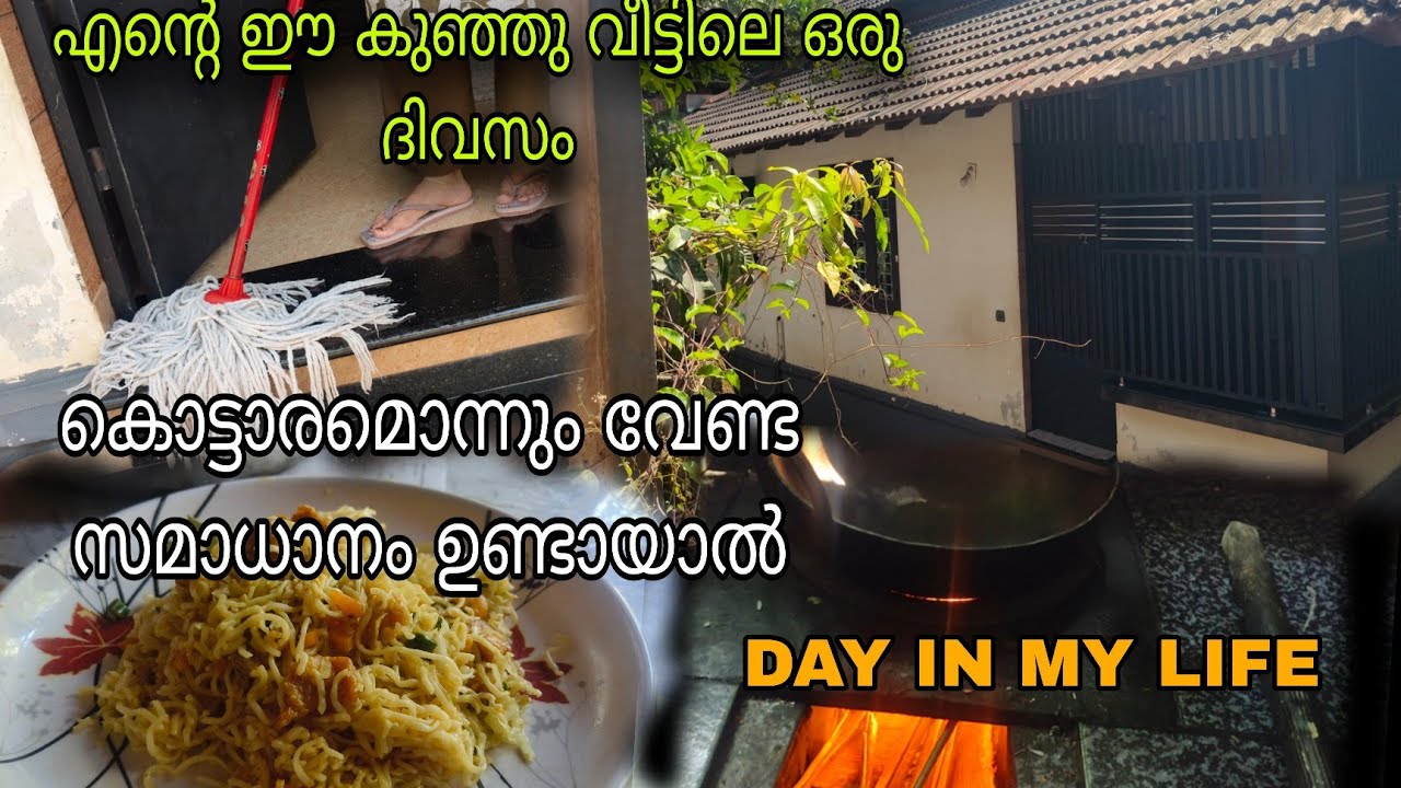 ഇങ്ങനെയൊക്കെ ചെയ്‌താൽ ചെറിയ മക്കളുണ്ടായാലും പണി വേഗം കഴിയും DAY IN MY LIFE|#dailyvlog #malayalamvlog