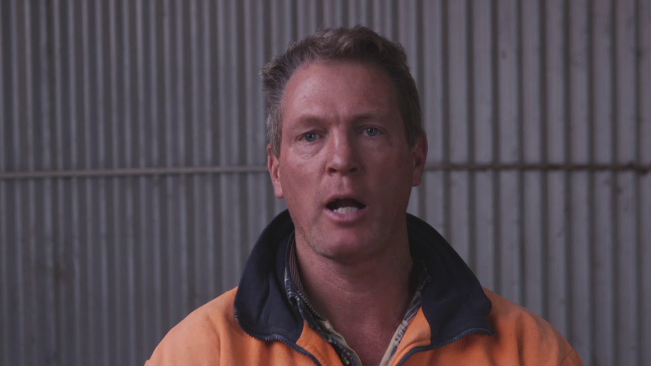 A Lamb Marking Contractor Reviews Numnuts