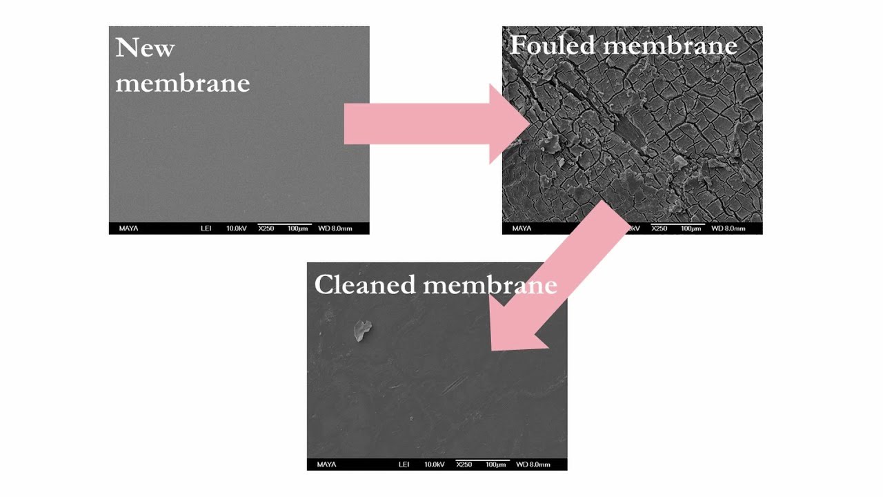 Membranes for a sustainable future