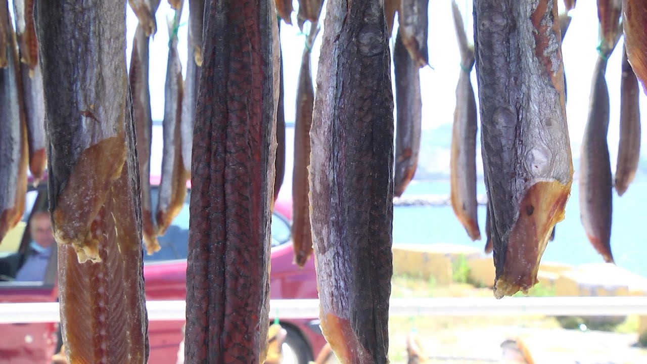Arranca la tradicional temporada de los volaores en Ceuta