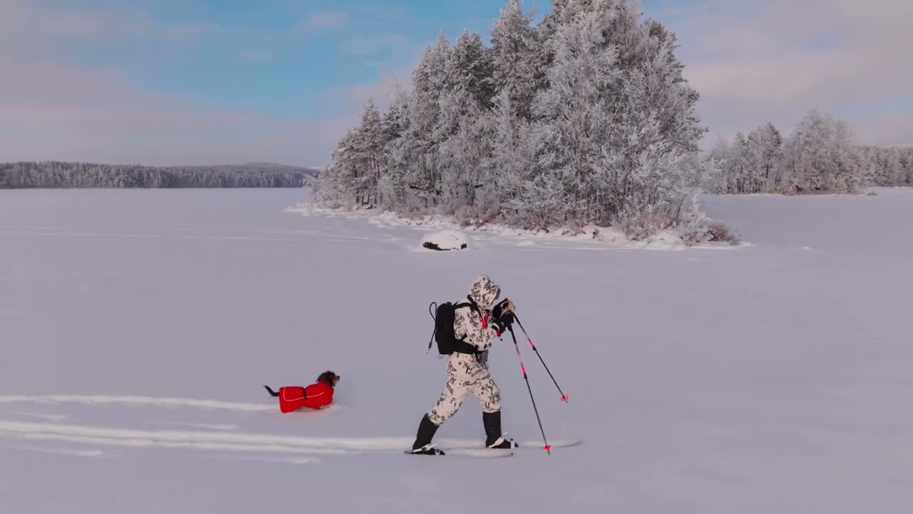 Nestori Puulalla - Koiran kanssa retkellä