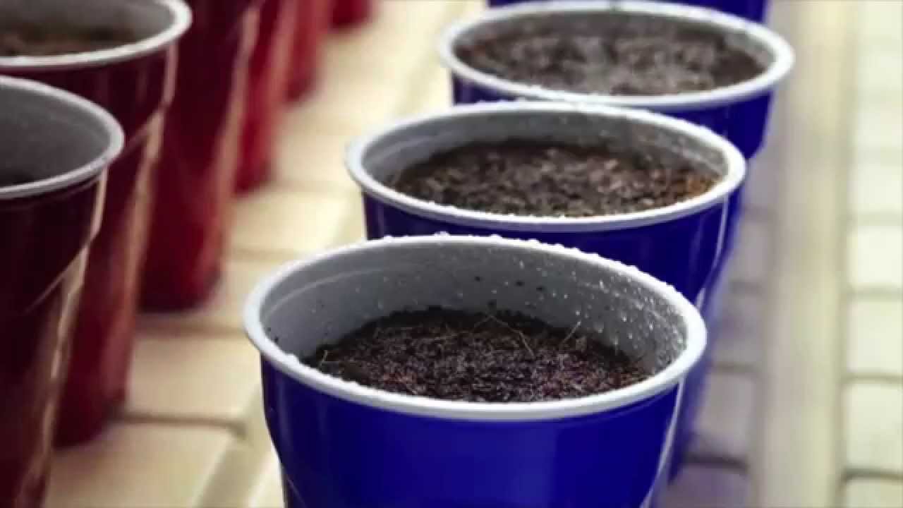 OMMPgrower Motivational Marijuana #11 - Types of People