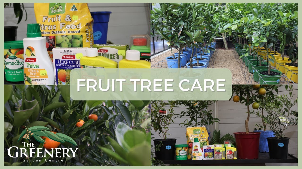 The Best Fruit Trees for Your Garden | The Greenery Garden & Home