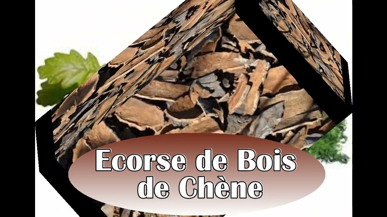 tout saw dwe konnen de bois de ch&ecirc;ne