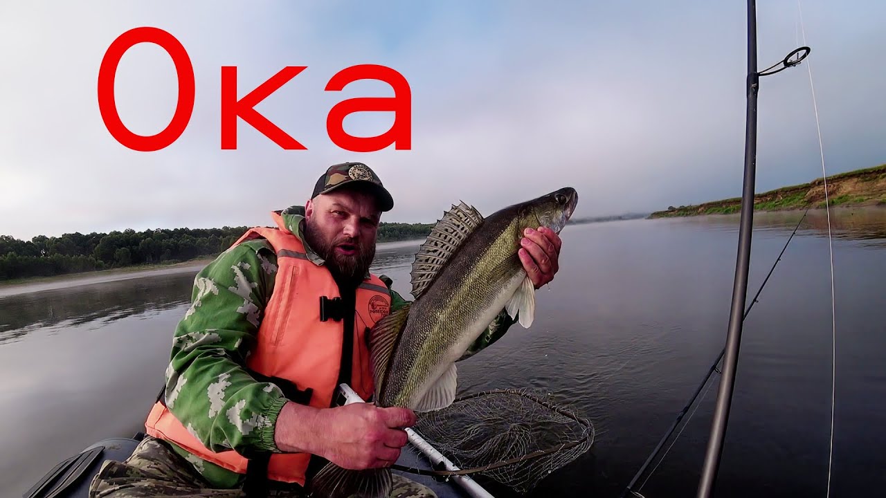 Рыбалка на ОКЕ. Открытие Спиннингового Сезона. Ловля Судака Сома Берша