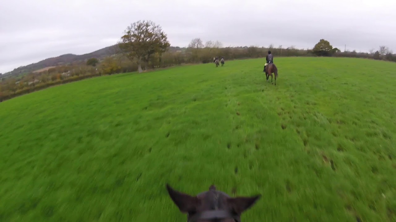 Portman Hunt 18/11/17