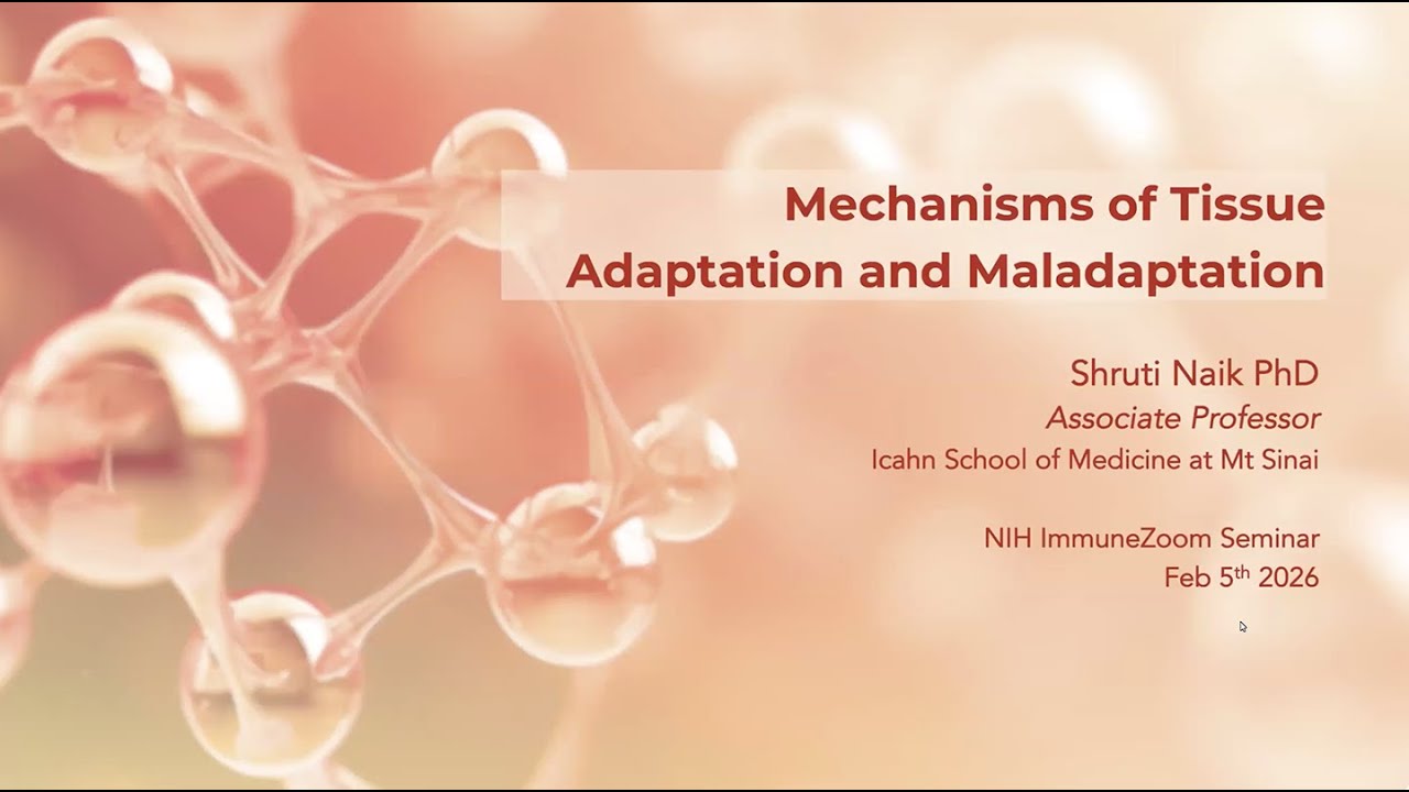 Mechanisms of Tissue Adaptation and Maladaptation