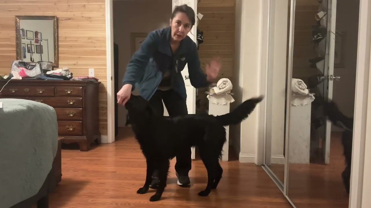 Agility Warm Up and Cool Down