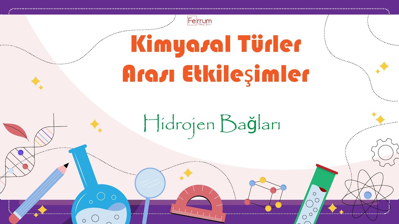 Hidrojen Bağları | Kimyasal Türler Arası Etkileşimler