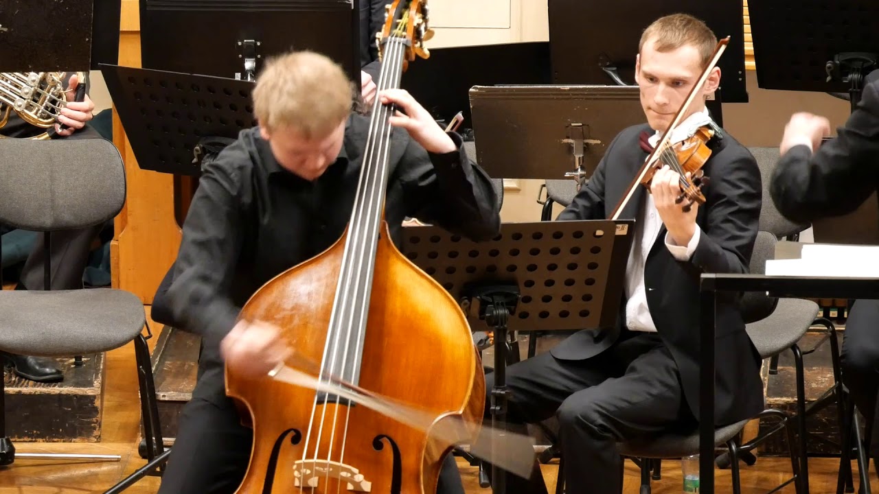 V&aacute;clav Pichl - S. Brettfeld: Koncert in D pro kontrabas a orchestr - 1. věta Allegro moderato