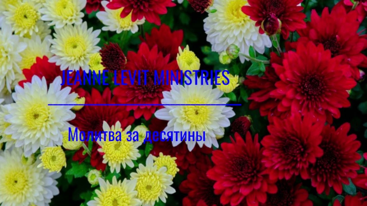 Пастор Жанна молится за десятины и пожертвования