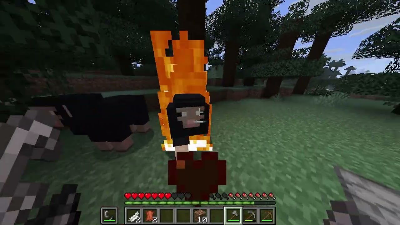 Can I Beat Minecraft On One Life? - 02/06/26