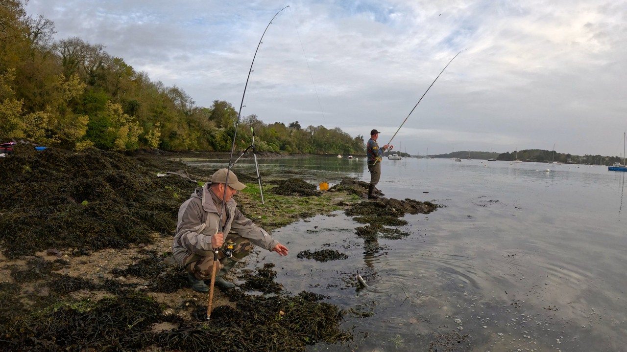 P&ecirc;che du bord, en mer : les poissons sont l&agrave; !