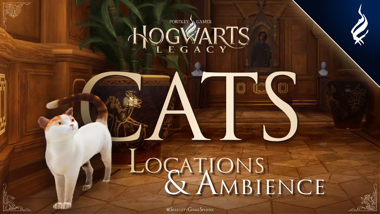 Cats in Hogwarts Legacy 🔮 Cozy Ambience & Harry Potter Music