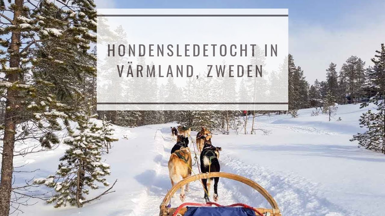 Hondensledetocht Värmland, Zweden | Map of Joy #Värmland #Zweden