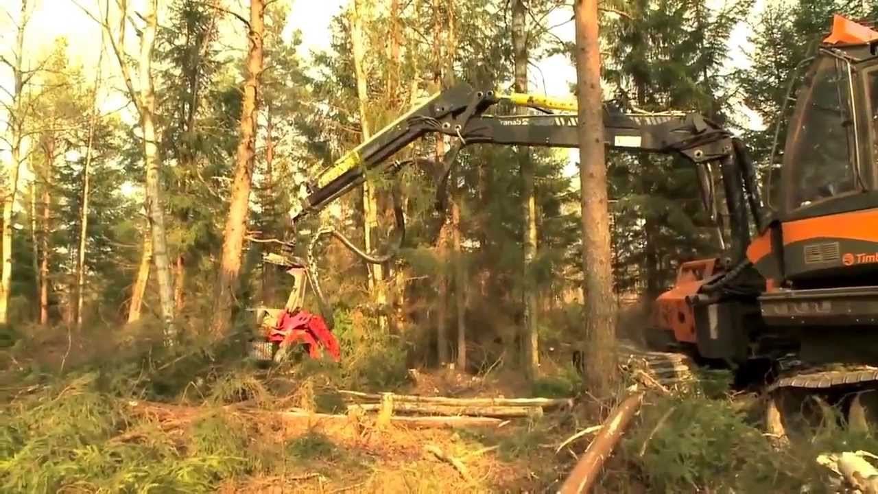Log Max 4000B Harvesting Head on Timbear Lightlogg C