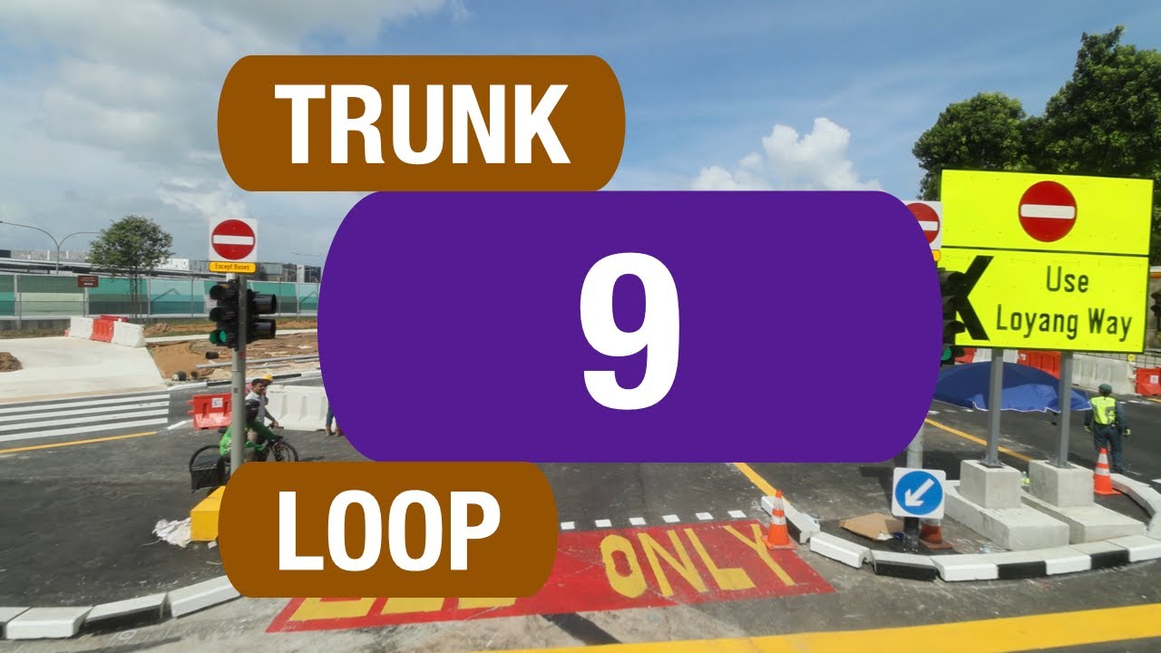 SBS Transit Trunk 9 | Bus Service Route Visual
