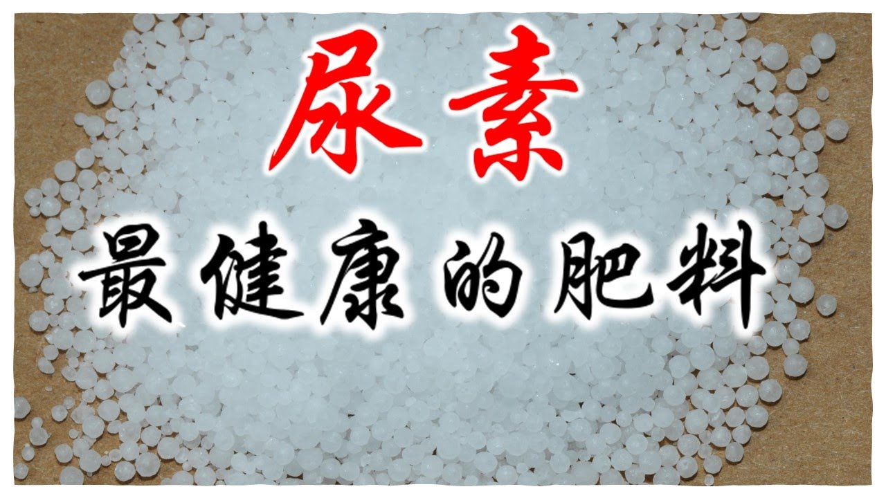 尿素，为什么是庭院种菜最好最健康的肥料？