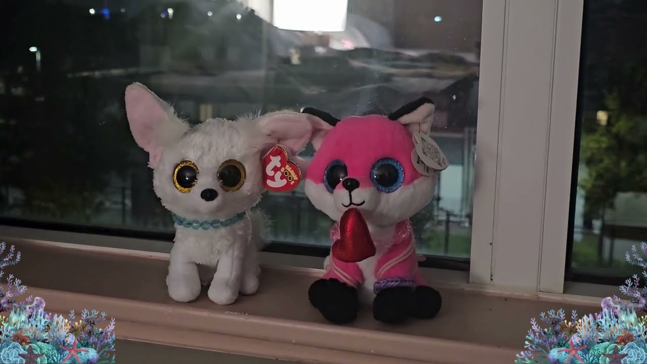 Lightshow at Seaworld with Parfait and Phoenix (Beanie Boos)