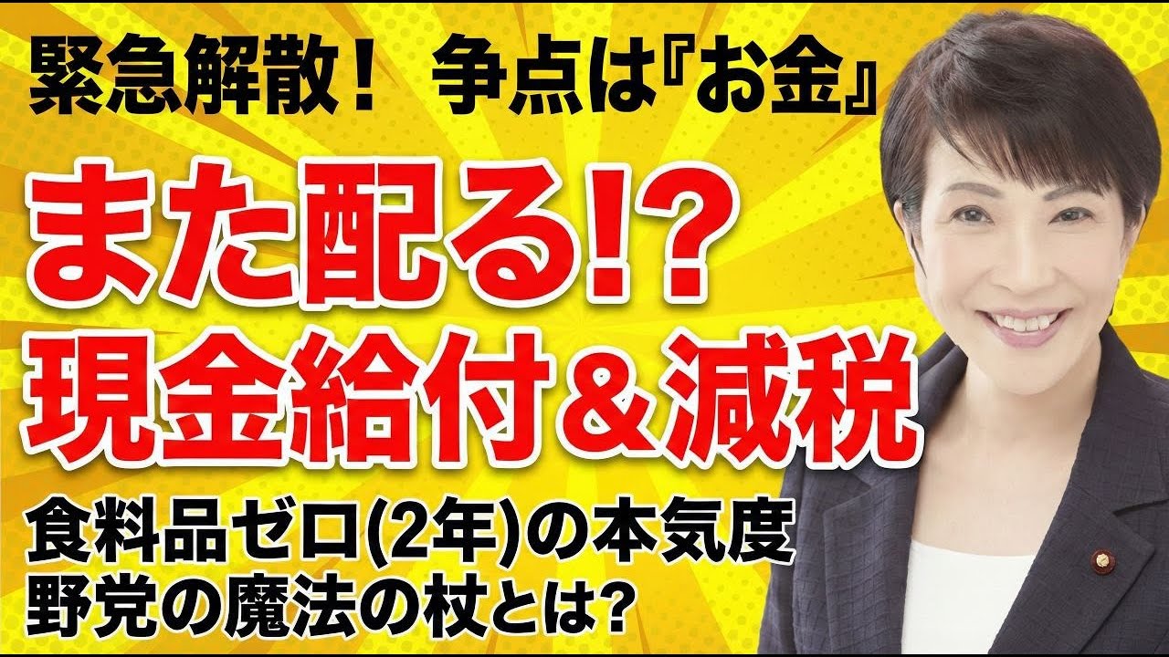 【給付金2026年】高市政権vs野党連合！食料品消費税0%で得する人・損する人。2月8日総選挙の争点を全解説
