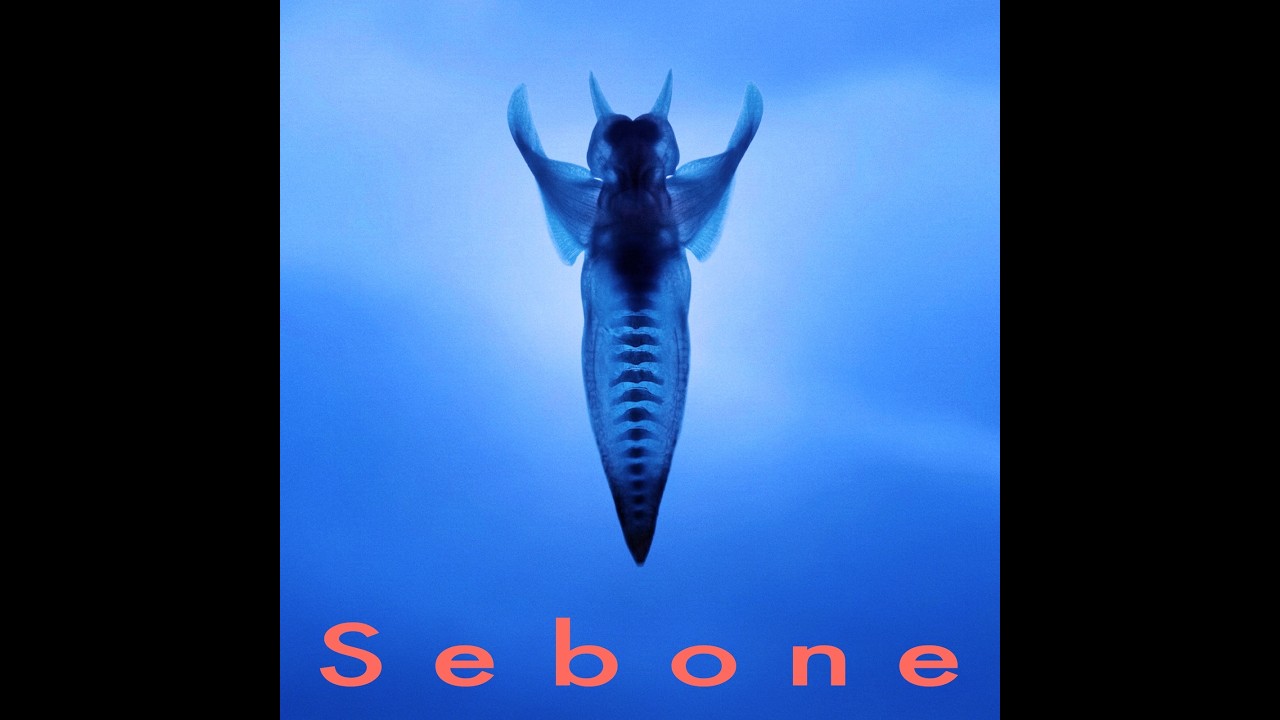 Sebone -脊椎盤- リリース記念配信